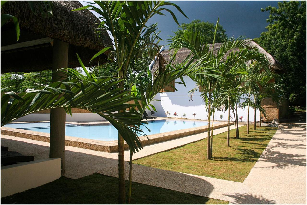 ホテル Panglao Bamboo Oasis エクステリア 写真